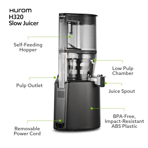 H320 Cold Press Juicer Machine (Black Slow Juicer)