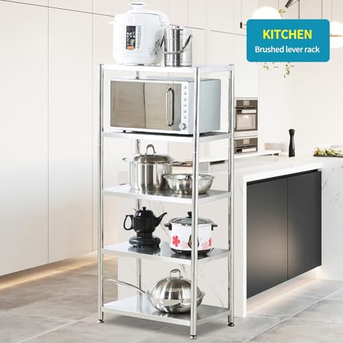 Stainless Steel Shelf (24.8*15.8-5T(No Guardrails))