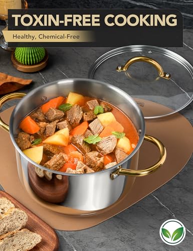 Stainless Steel Stock Pots (8 Quarts)