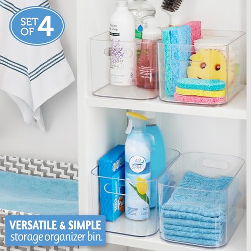 Bliss 10" x 6" Open Clear Pantry Organizer Bin (Set of 4)