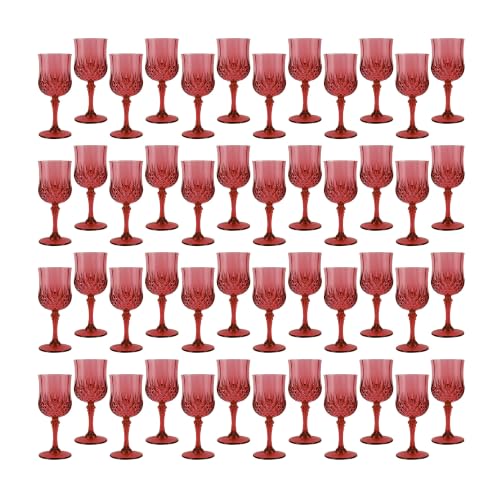 48Pack Plastic Wine Glasses (Scarlet Rose)