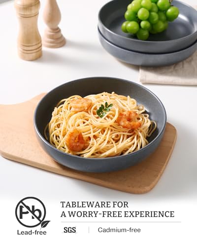 Milkyway 33 oz Pasta Bowls Set of 4 (Matte Dark Charcoal / Set of 4)