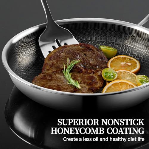 11" Stainless Steel Frying Pan with Lid (11 Inch)
