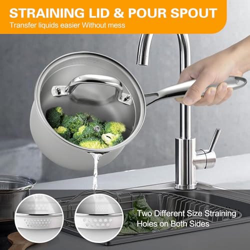 Tri Ply Stainless Steel Pot with Steamer (2.5 Quarts)