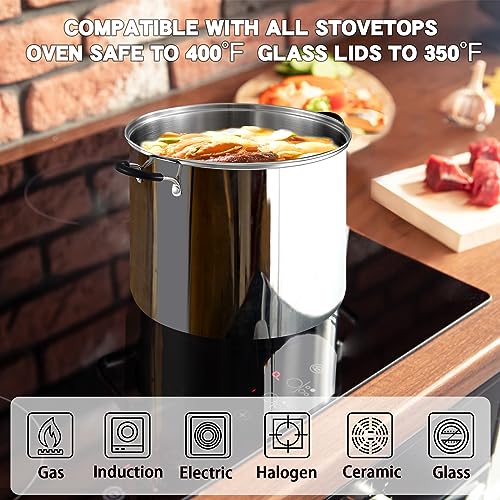 Professional 24 Quart Stainless Steel Stock Pot with Lid (24 Quarts)