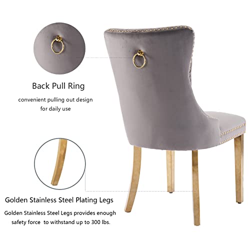 Grey Velvet Dining Chairs Set of 6 (Classic Gray)