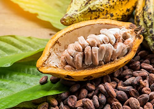 Cacao Paste Wafers (0.75 Pound)