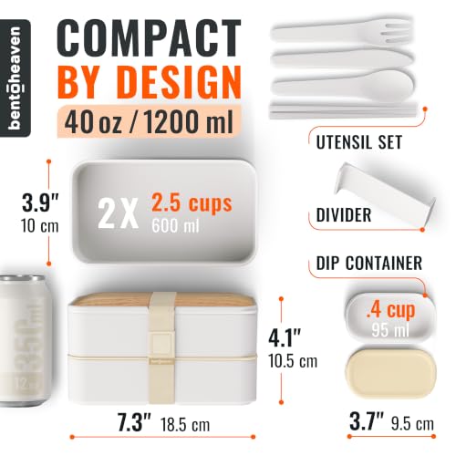 Bento Box Adult (Bright Light)