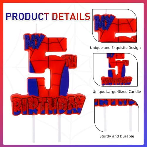 Spider Birthday Party Decorations (Spider Web 5th Candle)