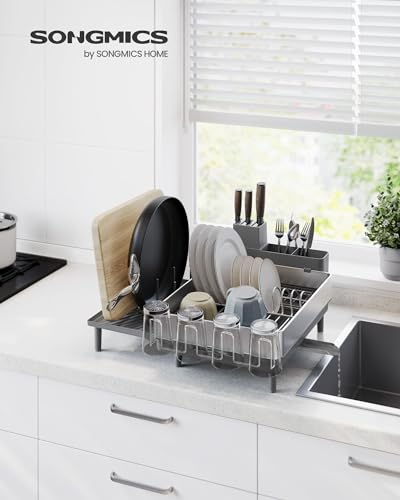 Dish Drying Rack (Silver + Gray / 19.9"D x 19.1"W x 8.9"H)