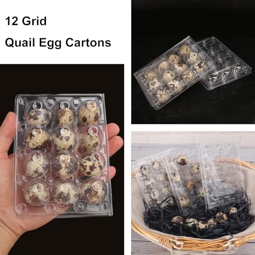 200 Pack Quail Egg Cartons (200 Pack Quail Egg Cartons 12 Grids)