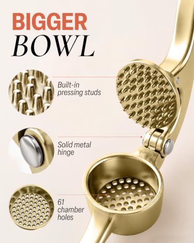 Large Premium Garlic Press Set (Extra Large | Gold)