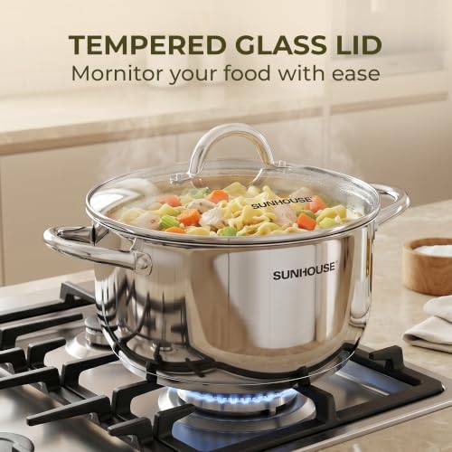 12 Quart Stock Pot with Lid