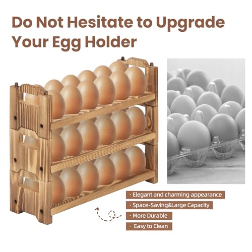 Egg Holder Countertop