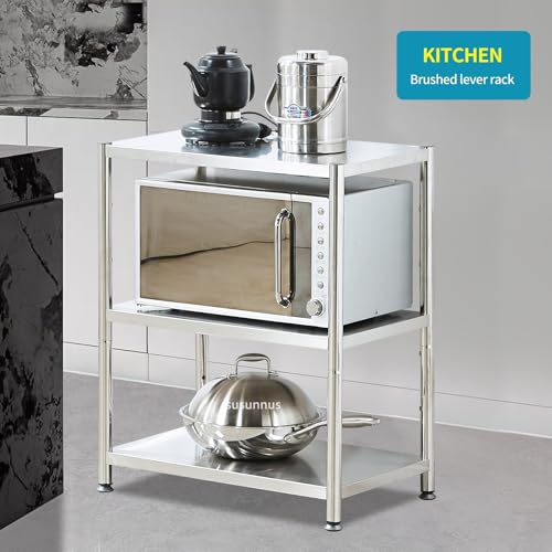 Stainless Steel Shelf (24.8*15.8-3T(No Guardrails))