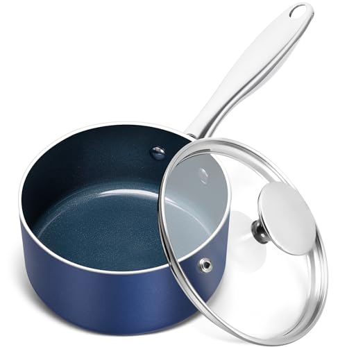 1 Quart Saucepan with Lid (Blue / 1 Quarts)