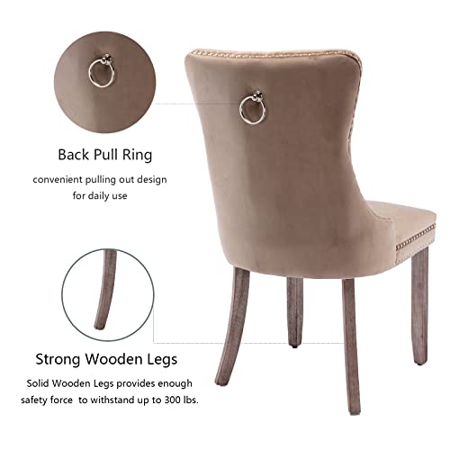 Khaki Velvet Dining Chairs Set of 2 (Khiki)
