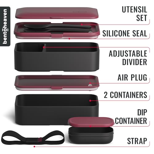 Bento Box Adult (Very Berry)