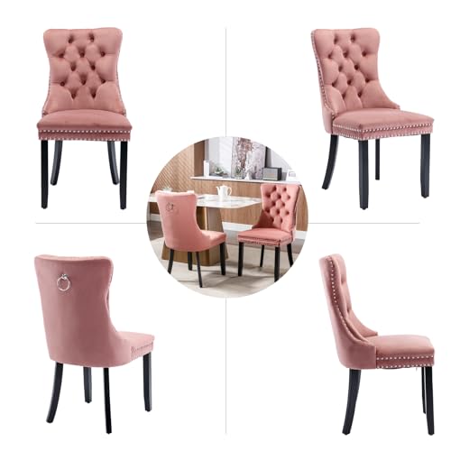 Pink Velvet Dining Chairs Set of 4 (Pink)