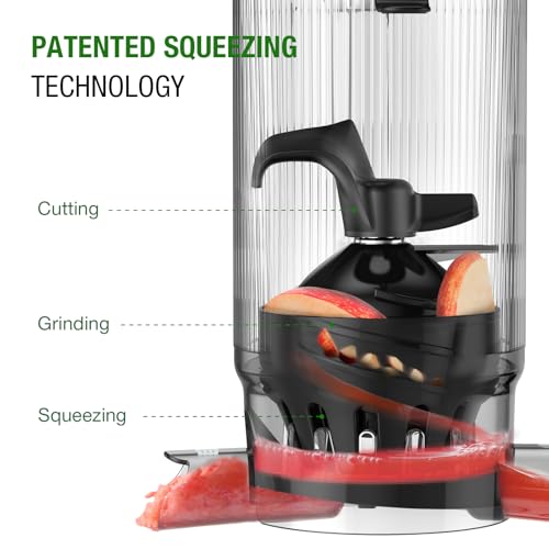 Cold Press Juicer Machine (Grey)