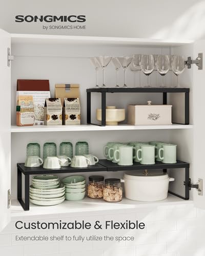 Spice Rack Expandable Kitchen Countertop Shelf (Matte Black / Set of 1)