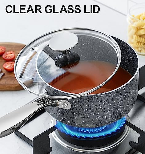 Nonstick Sauce Pan with Lid 1QT (1+2 +3 Quarts)