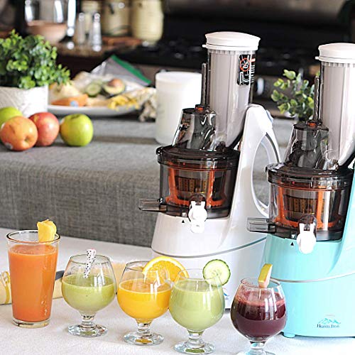 Cold Press Slow Masticating Juicer (Teal)