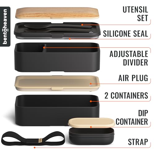 Bento Box Adult (Symph-Onyx)
