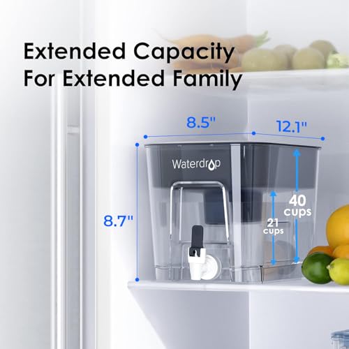 WFD 22L Large Water Filter Dispenser (Black)