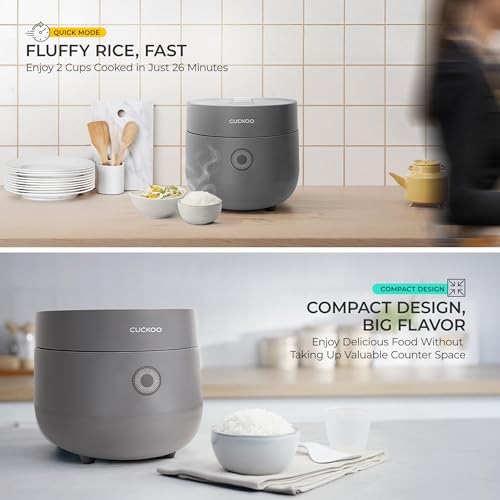 Micom Fuzzy Logic Rice Cooker (GRAY / 3 CUP)