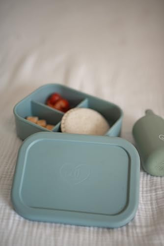 Kids Bento Box (Blue)