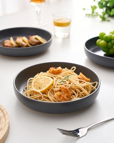 Milkyway 33 oz Pasta Bowls Set of 4 (Matte Dark Charcoal / Set of 4)