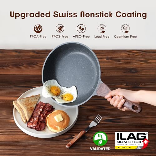 Nonstick Frying Pan Skillet (10 Inch / Gray)