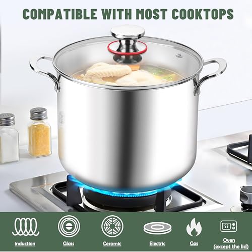 12 Quart 18 10 Stainless Steel Stock Pot with Lid (12 Quarts)