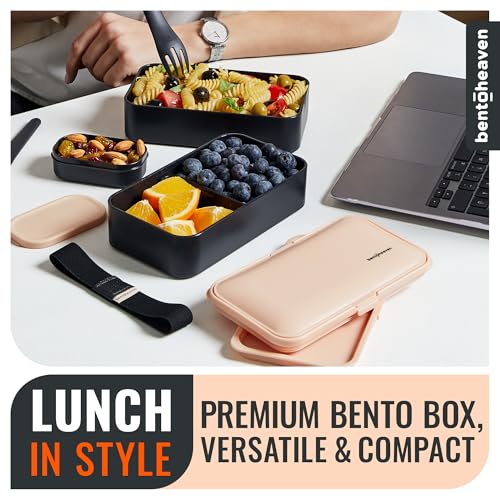 Bento Box Adult (Bingo Flamingo)