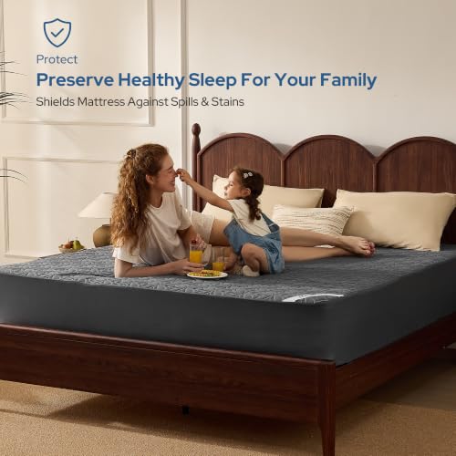 Waterproof Mattress Protector (1 Gray / King)