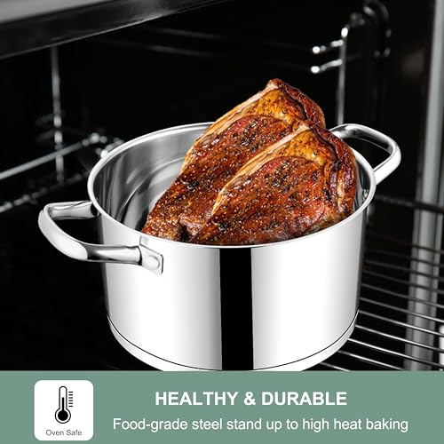 Stainless Steel Stock Pot (5 Quarts)
