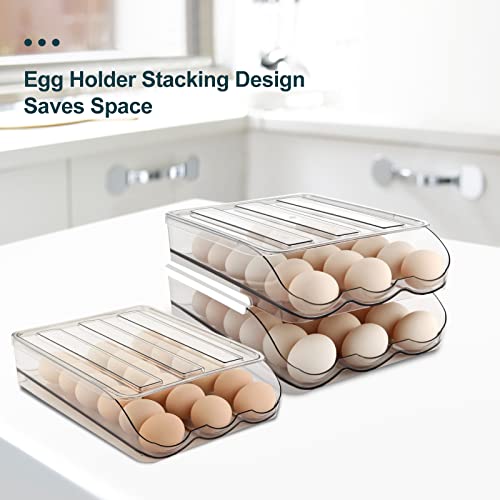 Egg Holder for Fridge (2 Layers Holder 36 Eggs)