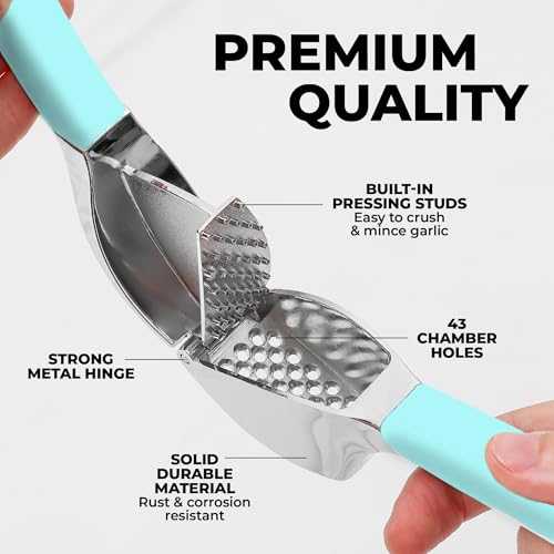 Metal Comfort Grip Garlic Press (Breeze Blue)