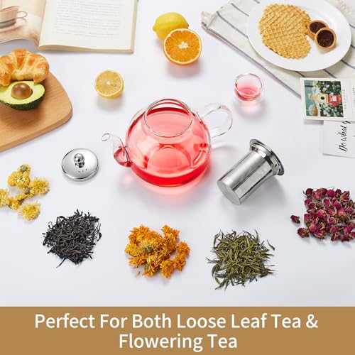 Glass Teapot with Infuser (Clear / 40OZ)