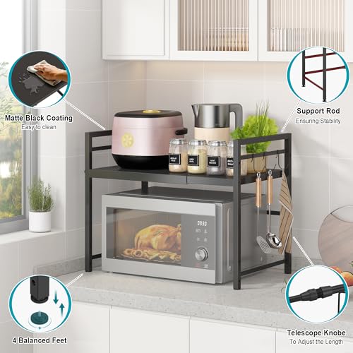 Microwave Oven Rack (Black / 2 Tier (Without Spice Rack))