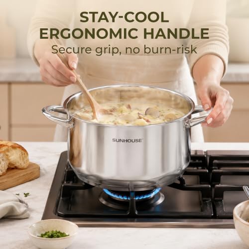12 Quart Stock Pot with Lid