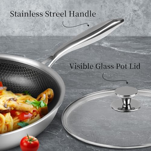 Stainless Steel Frying Pan Nonstick Frying Pan with Lid 10 Inch Honeycomb Stainless Steel Skillet Woks Pan for Gas Electric Induction Ceramic Stoves and Oven (10 Inch)