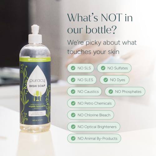 Natural Dish Soap Refill (64 Fl Oz (Pack of 1))