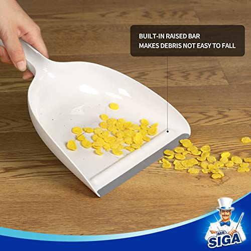 Dustpan and Brush Set (White)