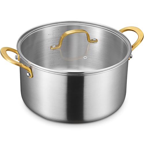 10 QT Stock Pot with Lid (10 Quarts)