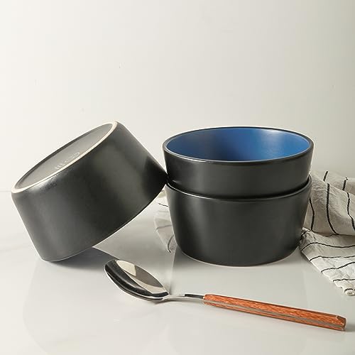 Albie Stoneware 16 (16 Piece - Service for 4 / Blue and Black)