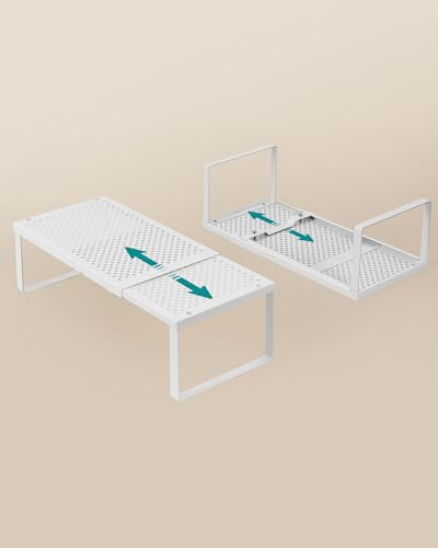Spice Rack Expandable Kitchen Countertop Shelf (Matte White / Set of 1)
