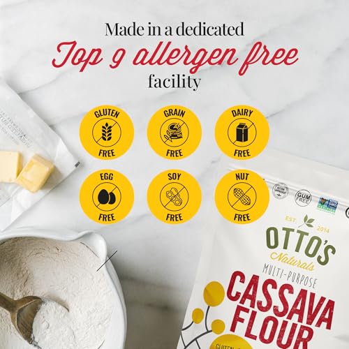 Multi Purpose Cassava Flour (5 Pound (Pack of 1))