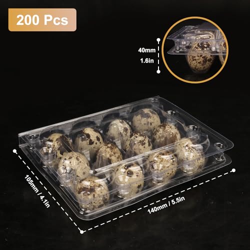 200 Pack Quail Egg Cartons (12 Grids)